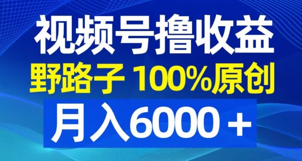 视频号野路子撸收益，100%原创，条条爆款，月入6000＋【揭秘】 - 163资源网-163资源网