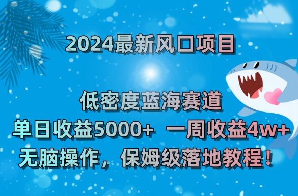 2024最新风口项目，低密度蓝海赛道，单日收益5000+，一周收益4w+！【揭秘】 - 163资源网-163资源网