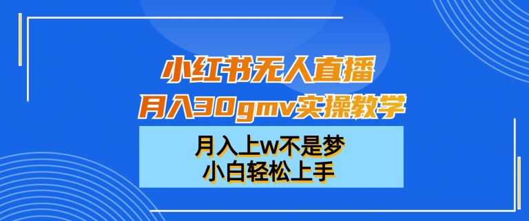 小红书无人直播月入30gmv实操教学，月入上w不是梦，小白轻松上手【揭秘】 - 163资源网-163资源网