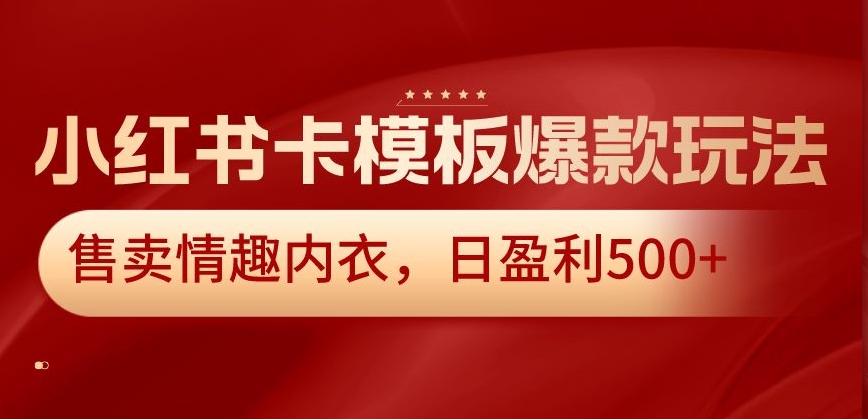 小红书卡模板爆款玩法，售卖情趣内衣，日盈利500+【揭秘】 - 163资源网-163资源网