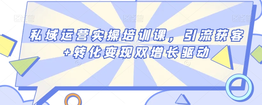 私域运营实操培训课，引流获客+转化变现双增长驱动 - 163资源网-163资源网