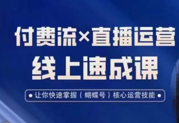 视频号付费流实操课程，付费流✖️直播运营速成课，让你快速掌握视频号核心运营技能 - 163资源网-163资源网