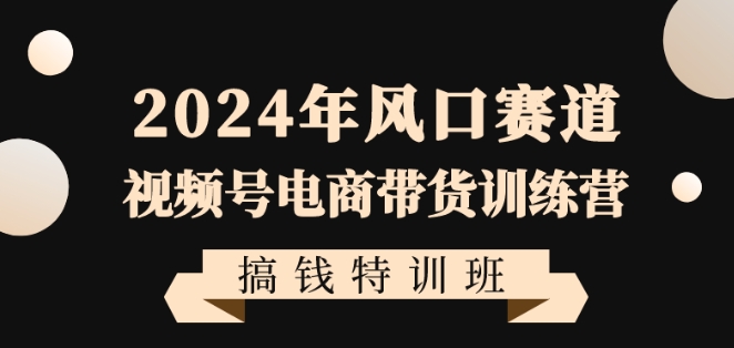 2024年风口赛道视频号电商带货训练营搞钱特训班，带领大家快速入局自媒体电商带货 - 163资源网-163资源网