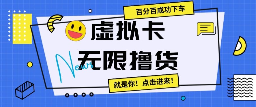 虚拟卡无限撸货，百分百成功下车【仅揭秘】 - 163资源网-163资源网