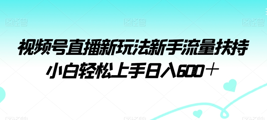 视频号直播新玩法新手流量扶持小白轻松上手日入600＋【揭秘】 - 163资源网-163资源网