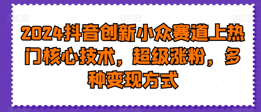 2024抖音创新小众赛道上热门核心技术，超级涨粉，多种变现方式【揭秘】 - 163资源网-163资源网