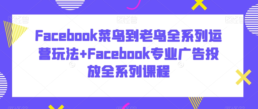 Facebook菜鸟到老鸟全系列运营玩法+Facebook专业广告投放全系列课程 - 163资源网-163资源网