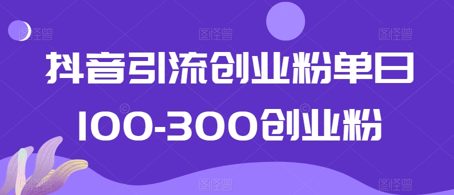 抖音引流创业粉单日100-300创业粉【揭秘】 - 163资源网-163资源网