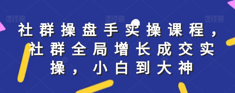 社群实操课程，社群全局增长成交实操，小白到大神 - 163资源网-163资源网