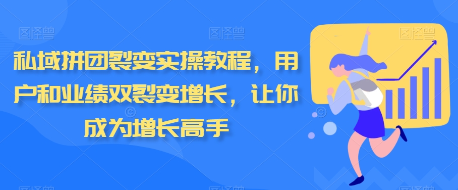 私域拼团裂变实操教程，用户和业绩双裂变增长，让你成为增长高手 - 163资源网-163资源网