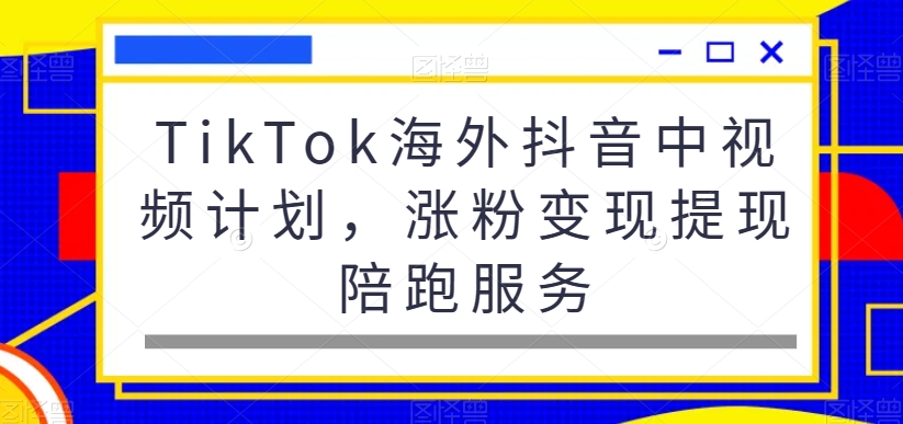 TikTok海外抖音中视频计划，涨粉变现提现陪跑服务 - 163资源网-163资源网