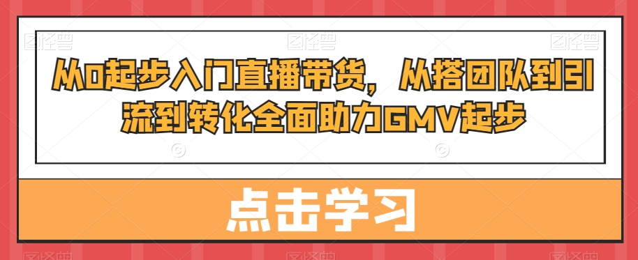 从0起步入门直播带货，​从搭团队到引流到转化全面助力GMV起步 - 163资源网-163资源网