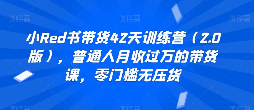 小Red书带货42天训练营（2.0版），普通人月收过万的带货课，零门槛无压货 - 163资源网-163资源网