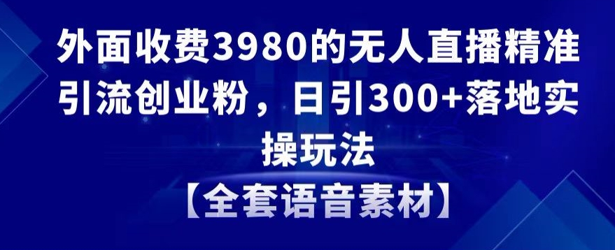 外面收费3980的无人直播精准引流创业粉，日引300+落地实操玩法【全套语音素材】【揭秘】 - 163资源网-163资源网