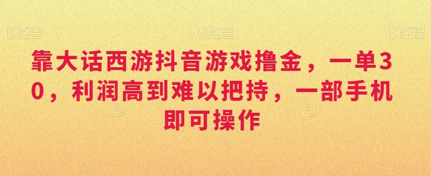 靠大话西游抖音游戏撸金，一单30，利润高到难以把持，一部手机即可操作，日入3000+【揭秘】 - 163资源网-163资源网