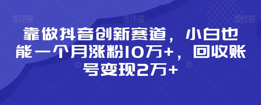 靠做抖音创新赛道，小白也能一个月涨粉10万+，回收账号变现2万+【揭秘】 - 163资源网-163资源网