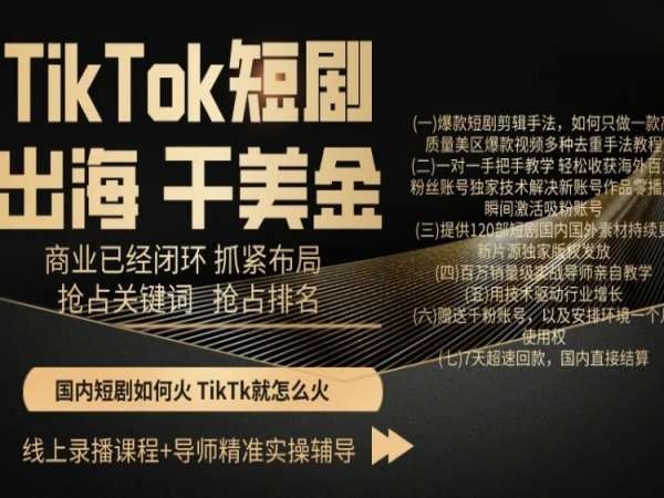 TikTok短剧出海干美金，商业已经闭环抓紧布局，抢占关键词抢占排名 - 163资源网-163资源网