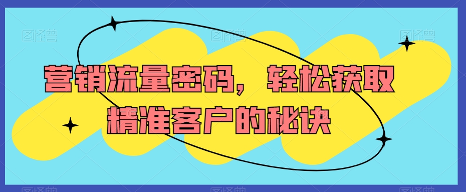 营销流量密码，轻松获取精准客户的秘诀 - 163资源网-163资源网