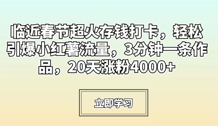 临近春节超火存钱打卡，轻松引爆小红薯流量，3分钟一条作品，20天涨粉4000+【揭秘】 - 163资源网-163资源网