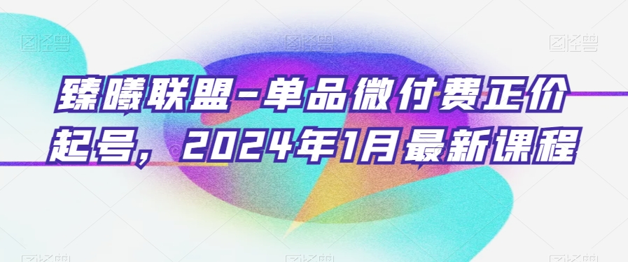 臻曦联盟-单品微付费正价起号，2024年1月最新课程 - 163资源网-163资源网