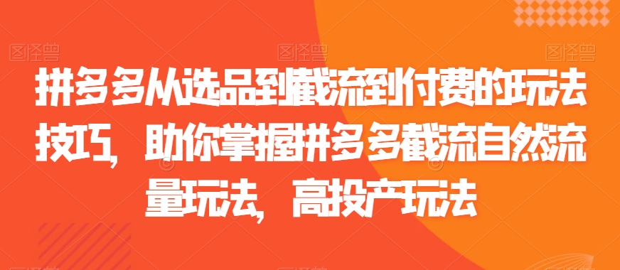 拼多多从选品到截流到付费的玩法技巧，助你掌握拼多多截流自然流量玩法，高投产玩法 - 163资源网-163资源网