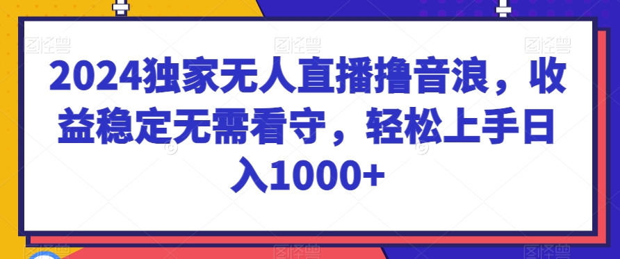 2024独家无人直播撸音浪，收益稳定无需看守，轻松上手日入1000+【揭秘】 - 163资源网-163资源网