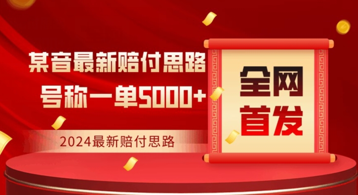 全网首发，2024最新抖音赔付项目，号称一单5000+保姆级拆解【仅揭秘】 - 163资源网-163资源网