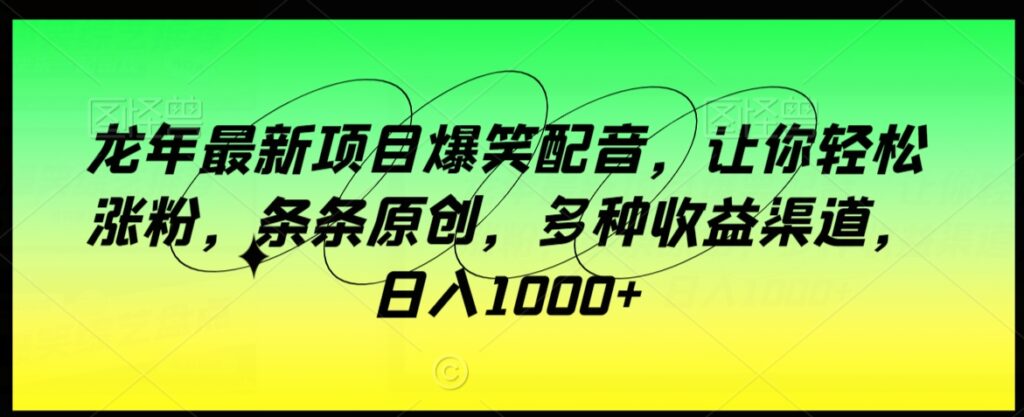 龙年最新项目爆笑配音，让你轻松涨粉，条条原创，多种收益渠道，日入1000+【揭秘】 - 163资源网-163资源网