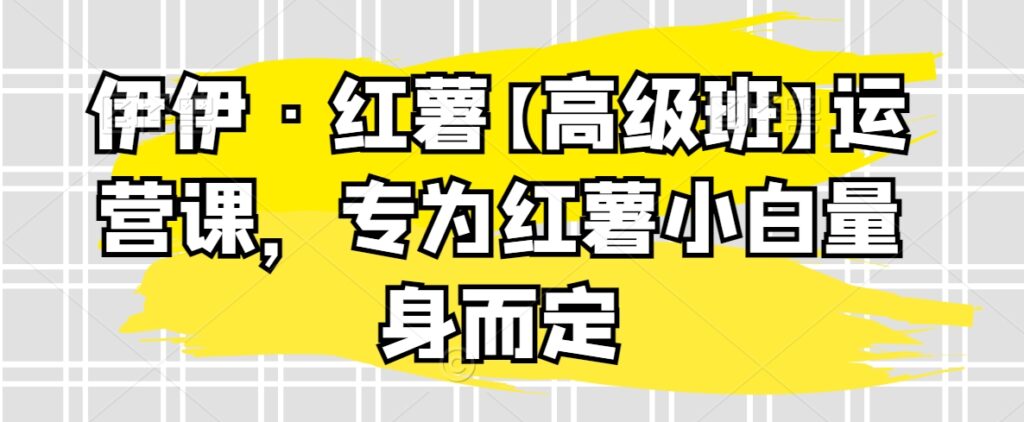 伊伊·红薯【高级班】运营课，专为红薯小白量身而定 - 163资源网-163资源网