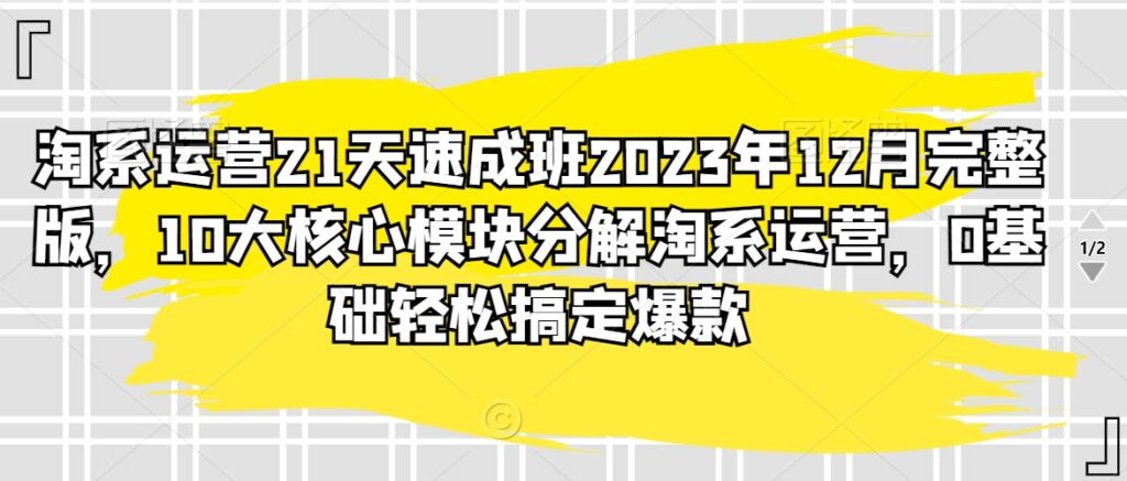 淘系运营21天速成班2023年12月完整版，10大核心模块分解淘系运营，0基础轻松搞定爆款 - 163资源网-163资源网