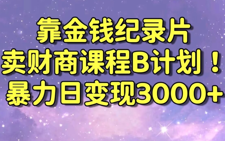 财经纪录片联合财商课程的变现策略，暴力日变现3000+，喂饭级别教学【揭秘】 - 163资源网-163资源网