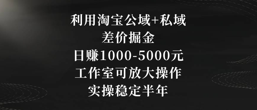 工作室可放大操作项目，利用淘宝公域+私域差价掘金，日赚1000-5000元，已实操稳定半年 - 163资源网-163资源网