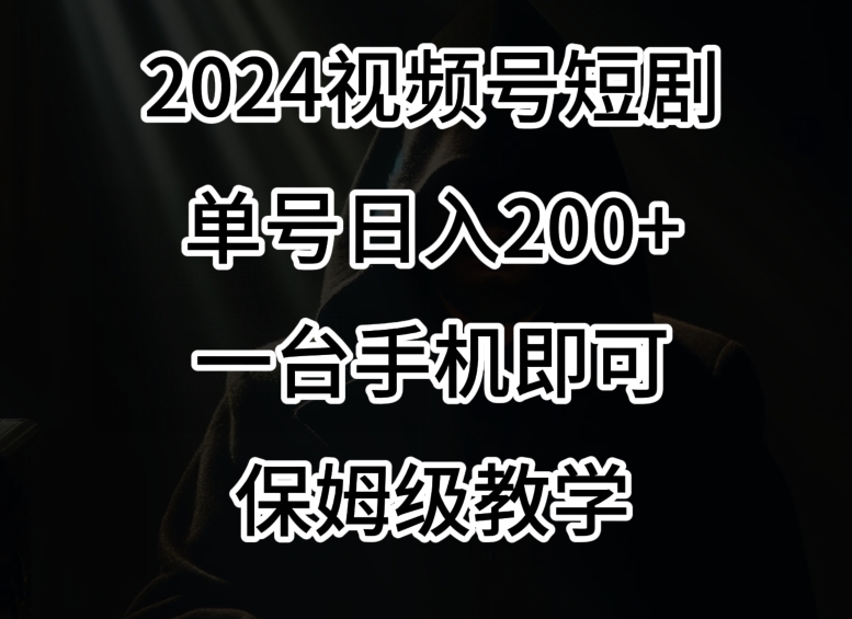 2024风口，视频号短剧，单号日入200+，一台手机即可操作，保姆级教学【揭秘】 - 163资源网-163资源网