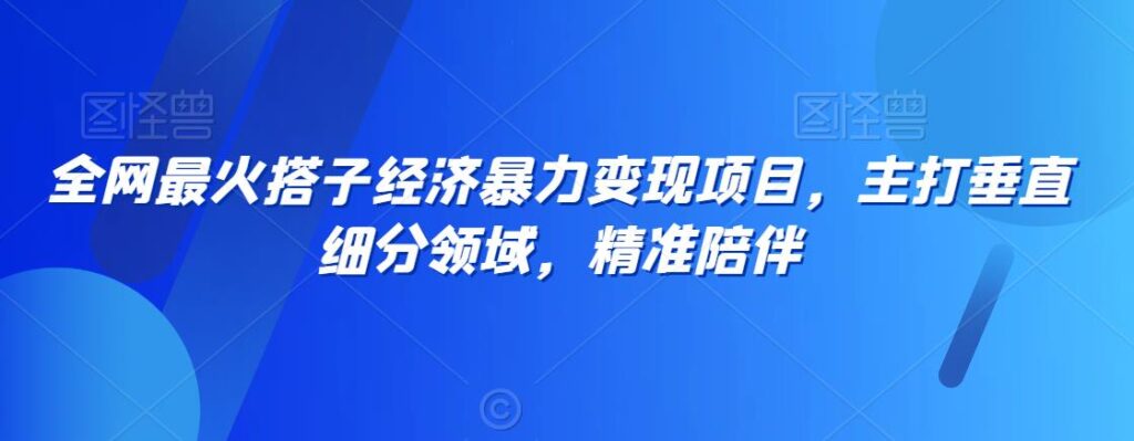 全网最火搭子经济暴力变现项目，主打垂直细分领域，精准陪伴【揭秘】 - 163资源网-163资源网