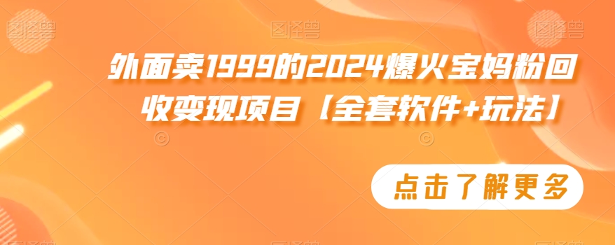 外面卖1999的2024爆火宝妈粉回收变现项目【全套软件+玩法】【揭秘】 - 163资源网-163资源网