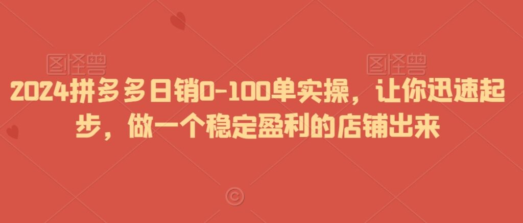 2024拼多多日销0-100单实操，让你迅速起步，做一个稳定盈利的店铺出来 - 163资源网-163资源网