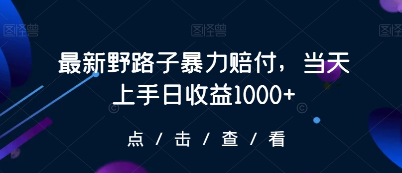 最新野路子暴力赔付，当天上手日收益1000+【仅揭秘】 - 163资源网-163资源网