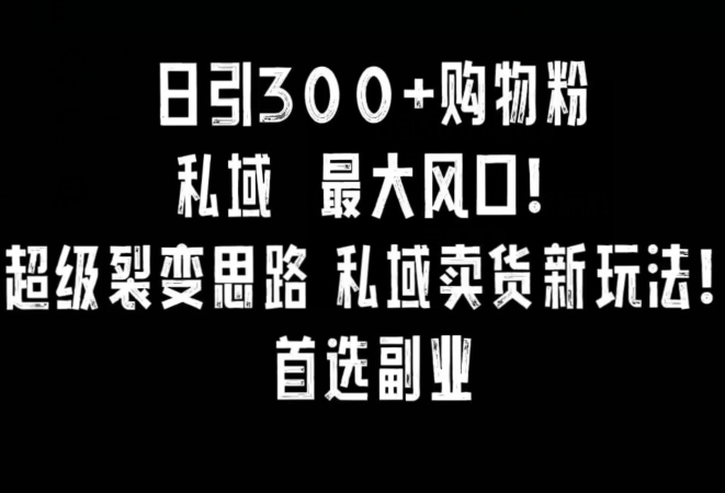 日引300+购物粉，超级裂变思路，私域卖货新玩法，小红书首选副业【揭秘】 - 163资源网-163资源网