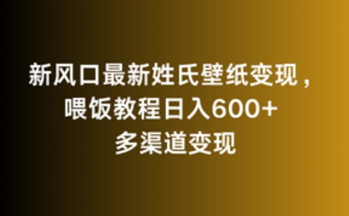 新风口最新姓氏壁纸变现，喂饭教程日入600+【揭秘】 - 163资源网-163资源网