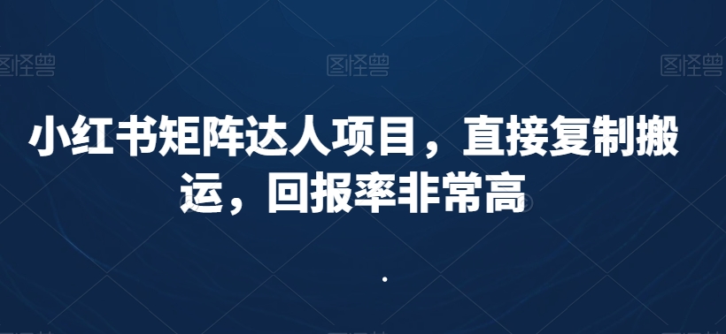 小红书矩阵达人项目，直接复制搬运，回报率非常高 - 163资源网-163资源网