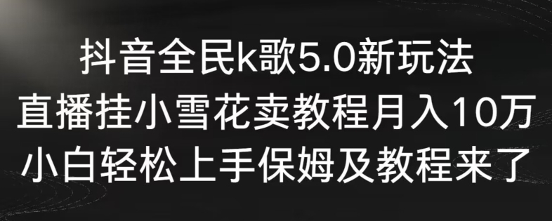 抖音全民k歌5.0新玩法，直播挂小雪花卖教程月入10万，小白轻松上手，保姆及教程来了【揭秘】 - 163资源网-163资源网