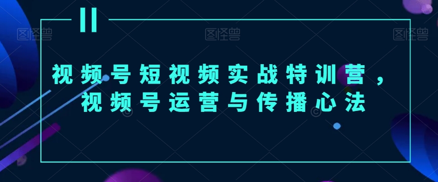 视频号短视频实战特训营，视频号运营与传播心法 - 163资源网-163资源网