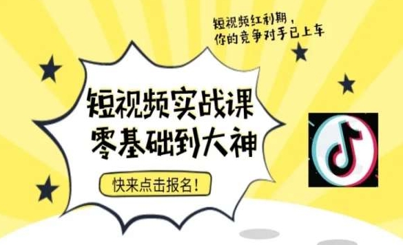 短视频零基础落地实操训练营，短视频实战课零基础到大神 - 163资源网-163资源网