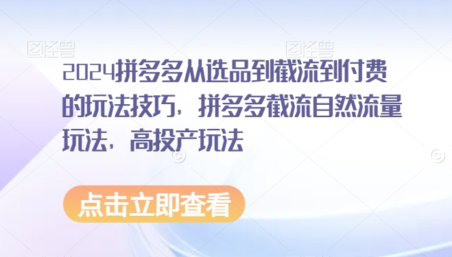 2024拼多多从选品到截流到付费的玩法技巧，拼多多截流自然流量玩法，高投产玩法 - 163资源网-163资源网