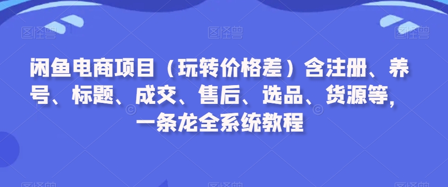 闲鱼电商项目（玩转价格差）含注册、养号、标题、成交、售后、选品、货源等，一条龙全系统教程 - 163资源网-163资源网