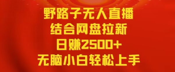 野路子无人直播结合网盘拉新，日赚2500+，小白无脑轻松上手【揭秘】 - 163资源网-163资源网