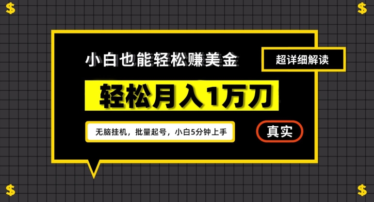 谷歌看广告撸美金2.0，无脑挂机，多号操作，月入1万刀【揭秘】 - 163资源网-163资源网