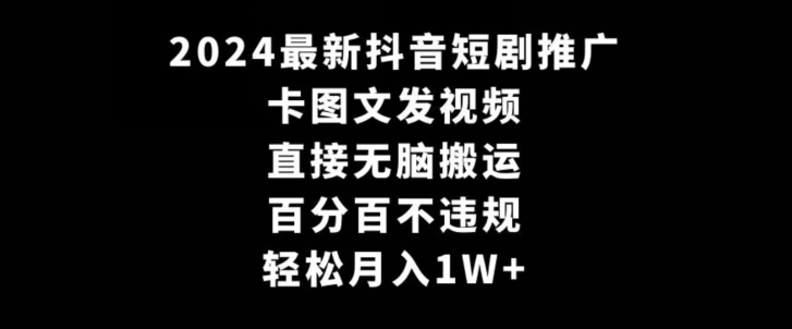 2024最新抖音短剧推广，卡图文发视频，直接无脑搬，百分百不违规，轻松月入1W+【揭秘】 - 163资源网-163资源网