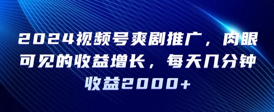 2024视频号爽剧推广，肉眼可见的收益增长，每天几分钟收益2000+【揭秘】 - 163资源网-163资源网