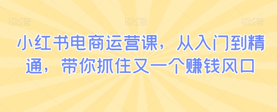 小红书电商运营课，从入门到精通，带你抓住又一个赚钱风口 - 163资源网-163资源网